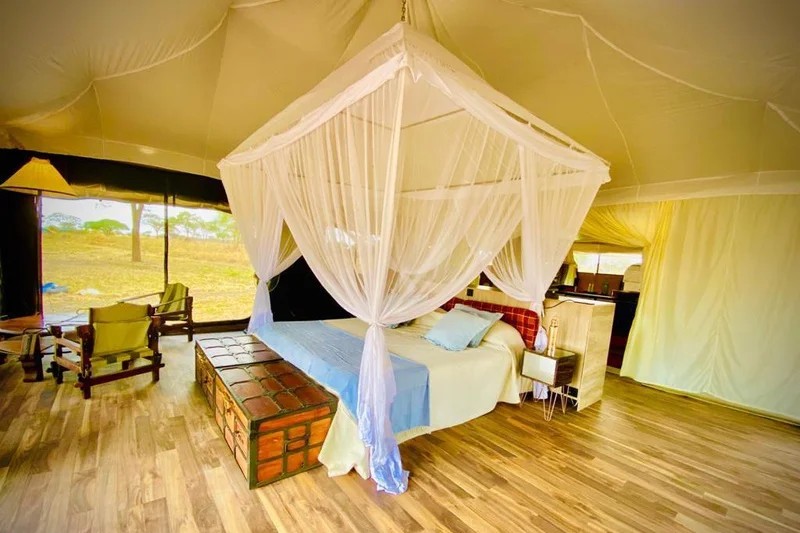 honeyguide tarangire camp