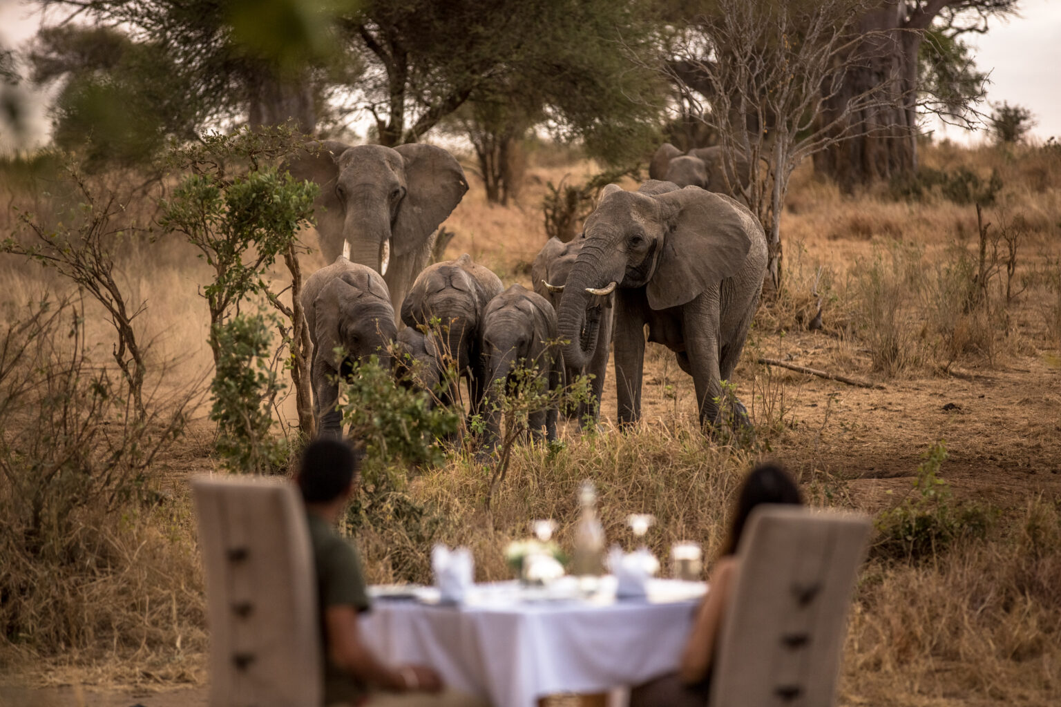 Nimali Tarangire Luxury Lodge