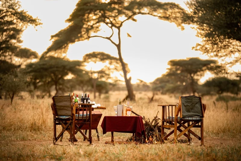 honeyguide tarangire camp