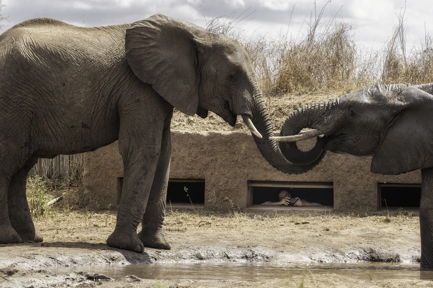Nimali Tarangire Luxury Lodge