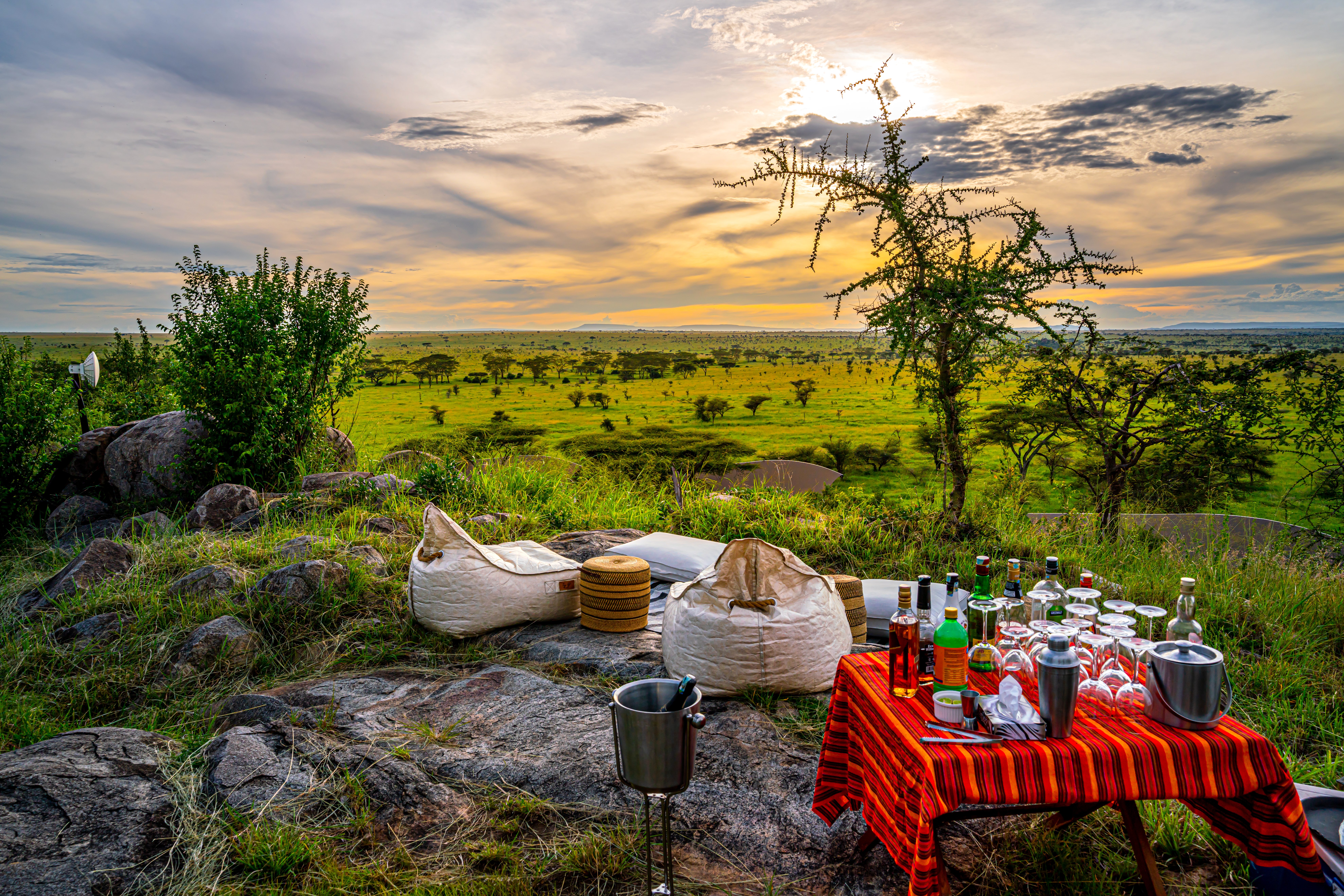 Lemala Nanyukie Serengeti