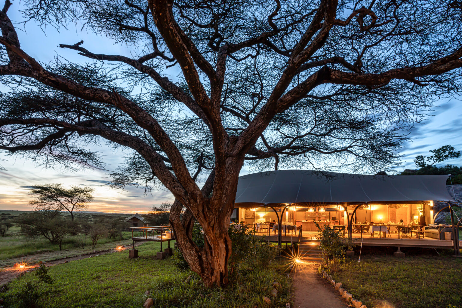 Lemala Nanyukie Serengeti