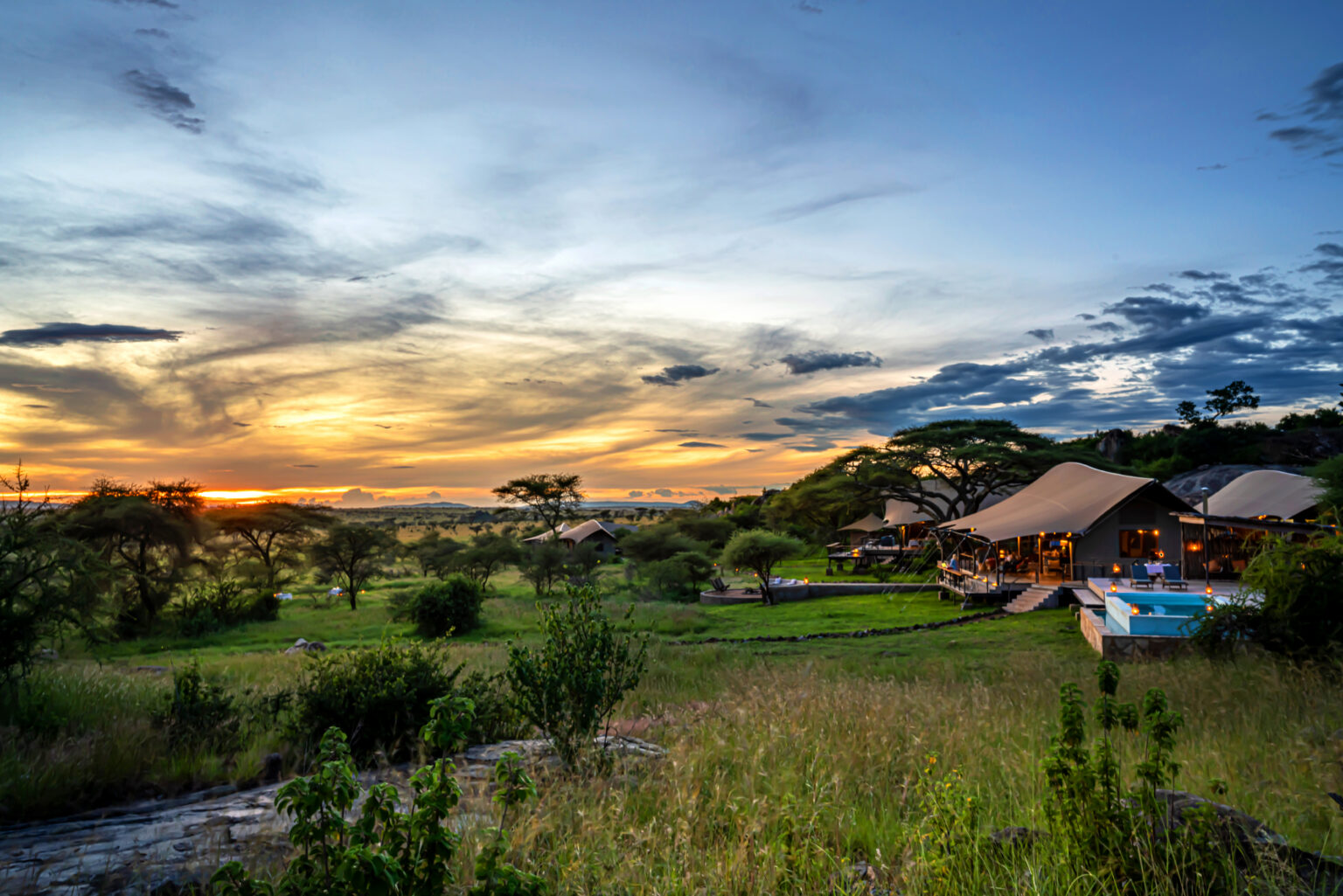 Lemala Nanyukie Serengeti