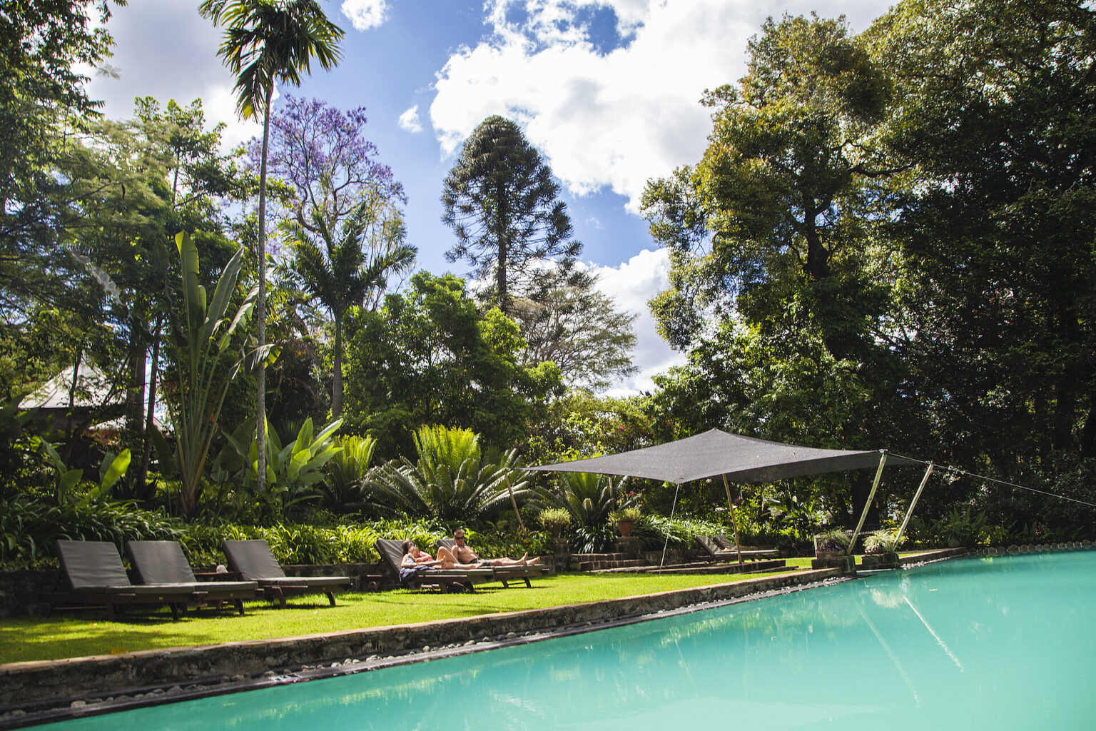 ngare sero moutain lodge arusha tanzanie