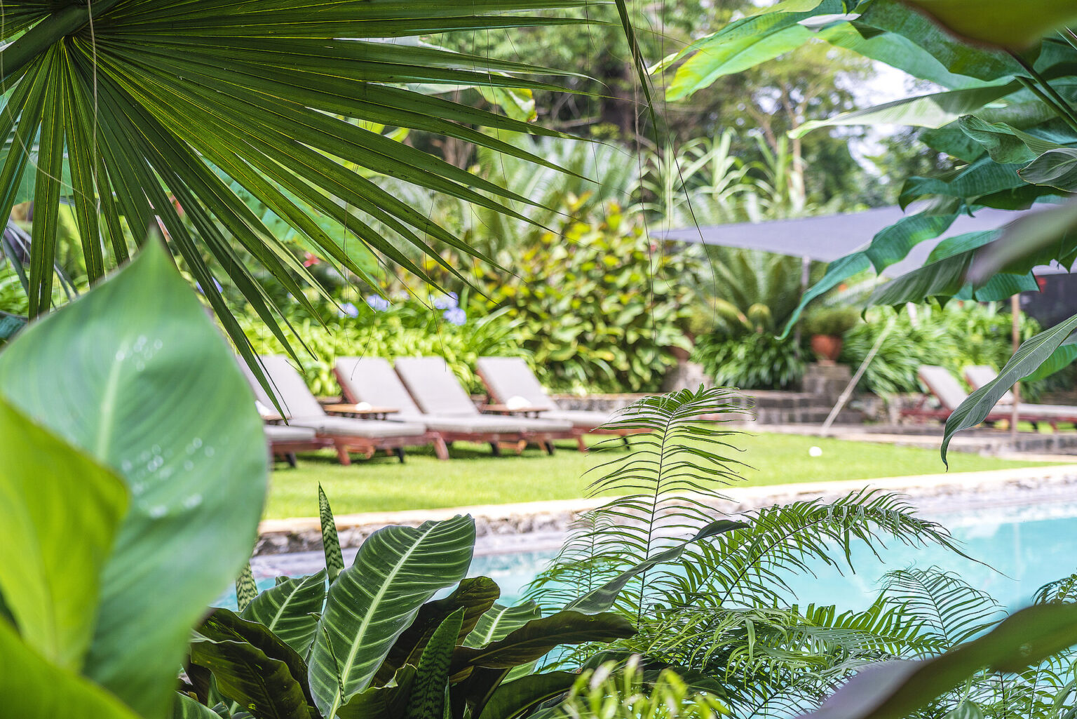 ngare sero moutain lodge arusha tanzanie